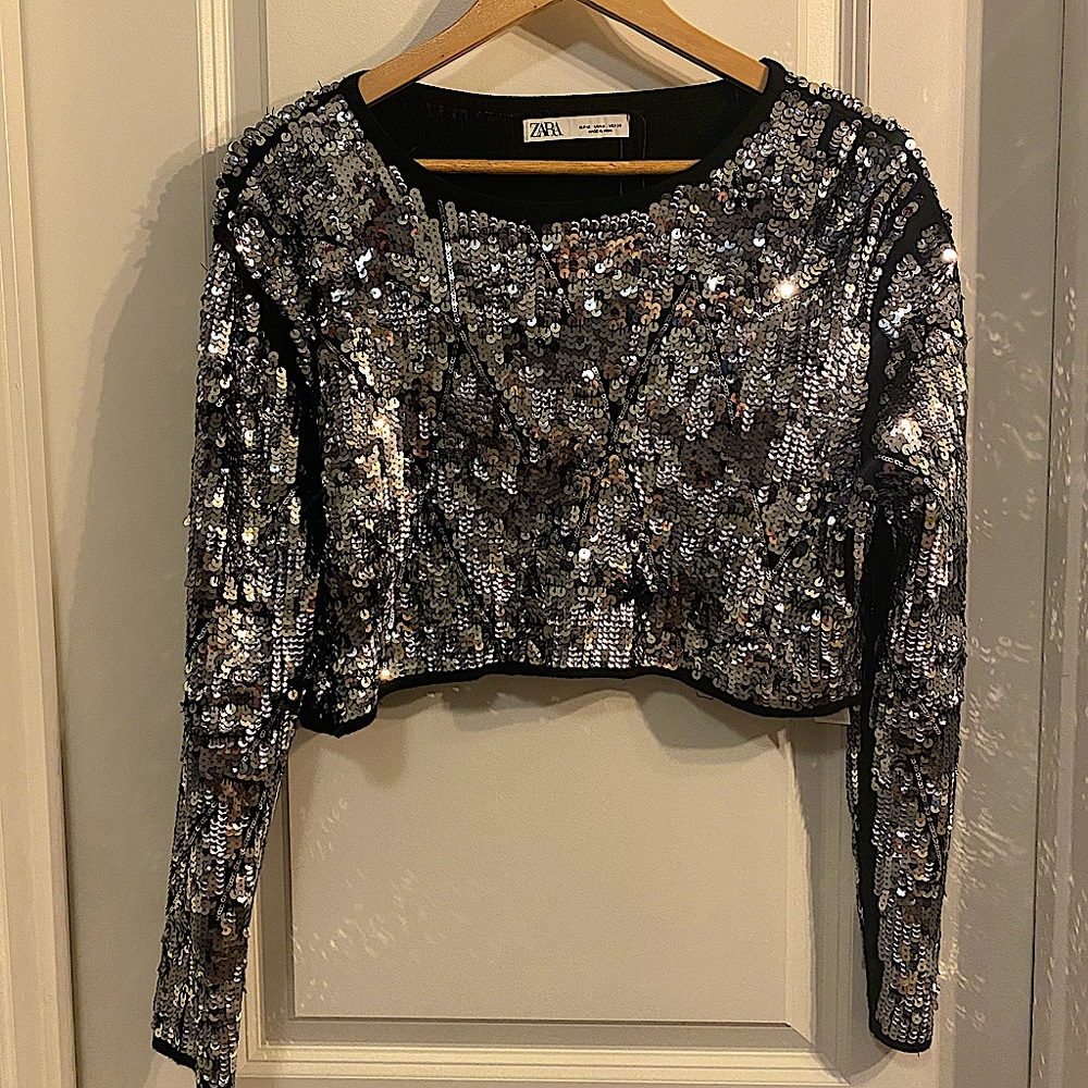 ZARA Sequin Crop Top
